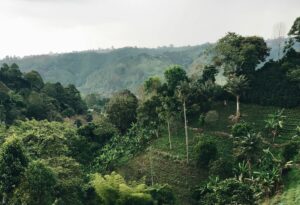 Rural Colombia